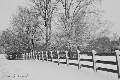 Winter Fenceline