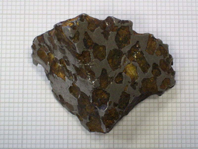 100_0720_Copy.jpg