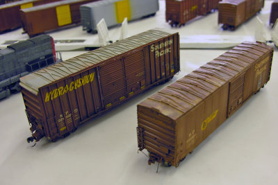 Elizabeth Allen model