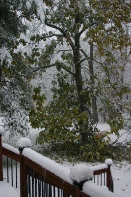 Catalpa at 2:14 PM