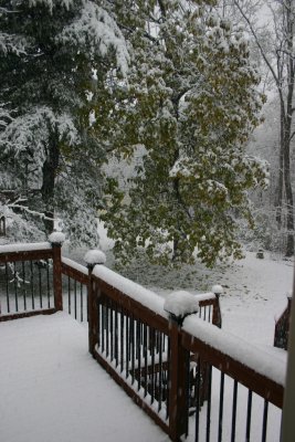 Catalpa at 2:08 PM