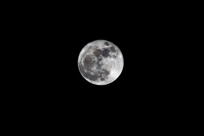 moon 9482.jpg