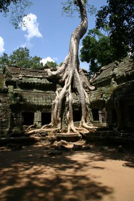 Cambodia 2006