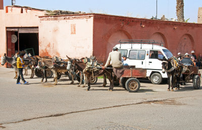 Marrakech and Southern Morocco