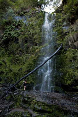 Erskine Falls