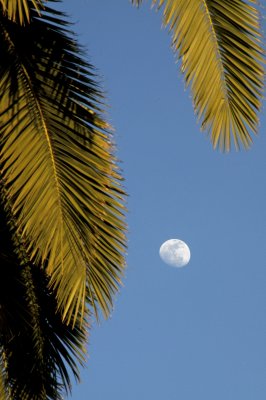 San Diego Moon