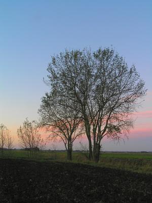800_PB050223_c1.JPG