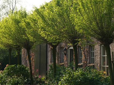 Ons huis in de Bergstraat Geffen