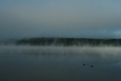 Fog on Back Lake