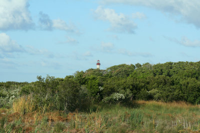 Cape May Point Lighthouse from the Meadows