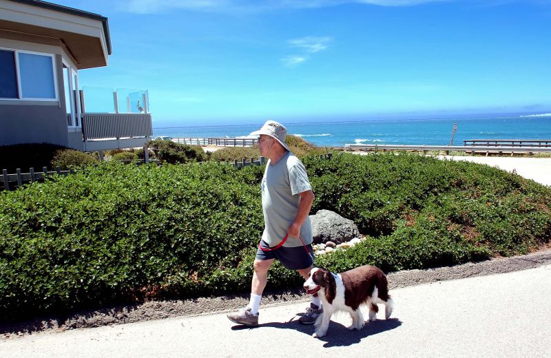 D50_0580DadDog1.jpg