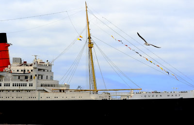 D3E_7392LongBeachQueenMary1.jpg