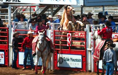 D70_3796ClovisRodeo1.jpg