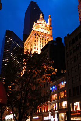 D70_5640NYCBuilding1.jpg