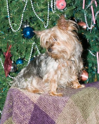 IMGP0487.jpg