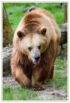 Ours 2
