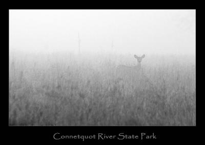 Connetquot River State Park Nov 6 2005