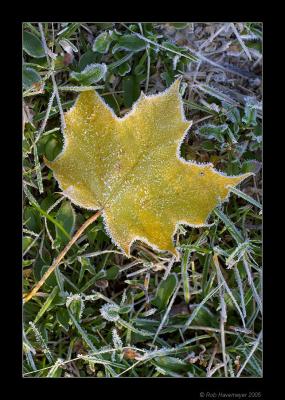 connetquot_river_state_park