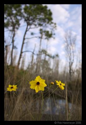 CRW_1842.jpg