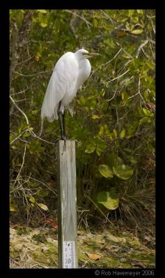 CRW_2058.jpg