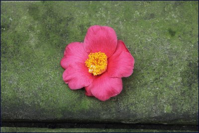 IMG_4880cam3.jpg