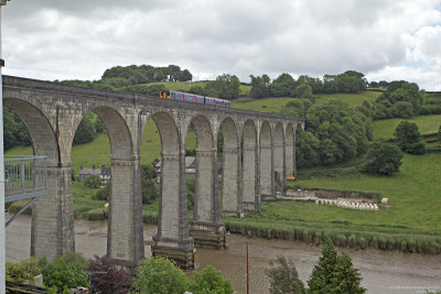 Railway viaduct, Calstock