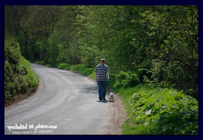 walky in a country lane