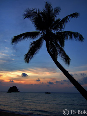 Tioman Island.jpg