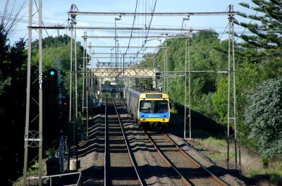 Seddon