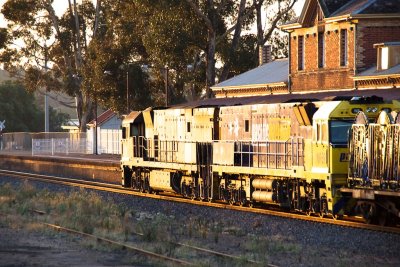 Stawell Glint ?
