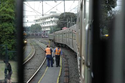 IMGP4905.jpg