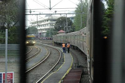 IMGP4906.jpg