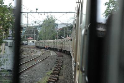IMGP4908.jpg