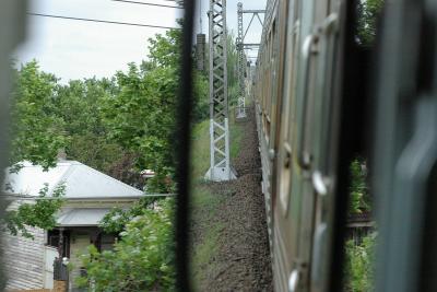 IMGP4919.jpg