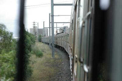IMGP4929.jpg