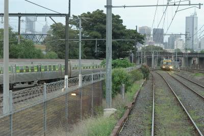 IMGP4930.jpg