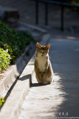 DSC00110a.jpg