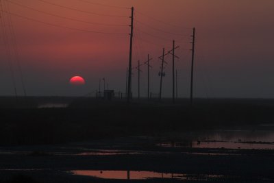 Sunrise in the Everglades