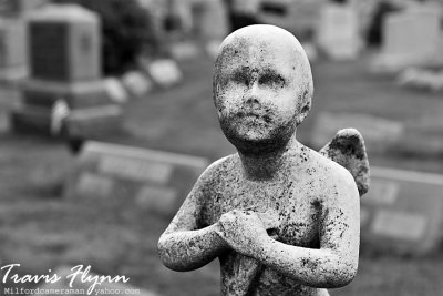 Featured Gallery: Cemetery Project