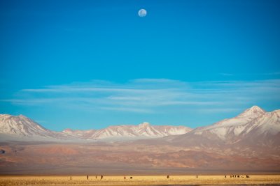 Atacama-212.jpg