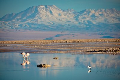 Atacama-209.jpg