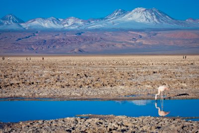 Atacama-193.jpg