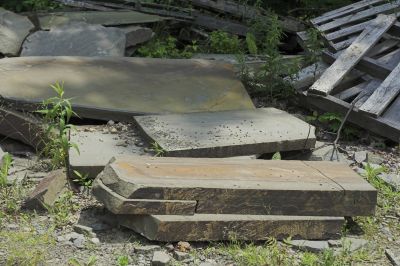 Farm 070706 IMG_1069 .jpg