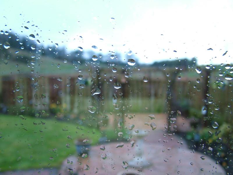 Rain on the window.JPG