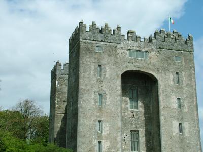 1427 25th April 06 Bunratty Castle Co Clare Ireland.JPG