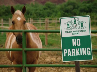 No Parking Moab.JPG