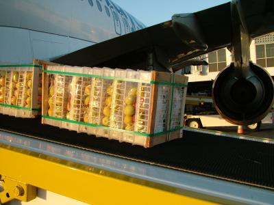 0552 25th May 06 Fruit arriving from Damascus.JPG