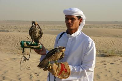 Falcons of the desert
