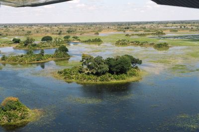 Okavanga Delta, Botswana