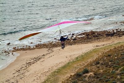 Hangliders at Ochre Point